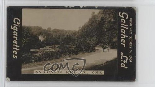 1908 gallaher ltd irish - 1908, view